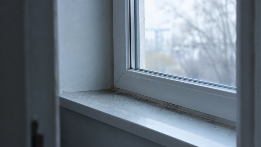prozorska daska, prljanje prozora, prašina, staklo, prozor, kućna higijena, stan, ventilacija, laganica, laganica.rs, laganicars